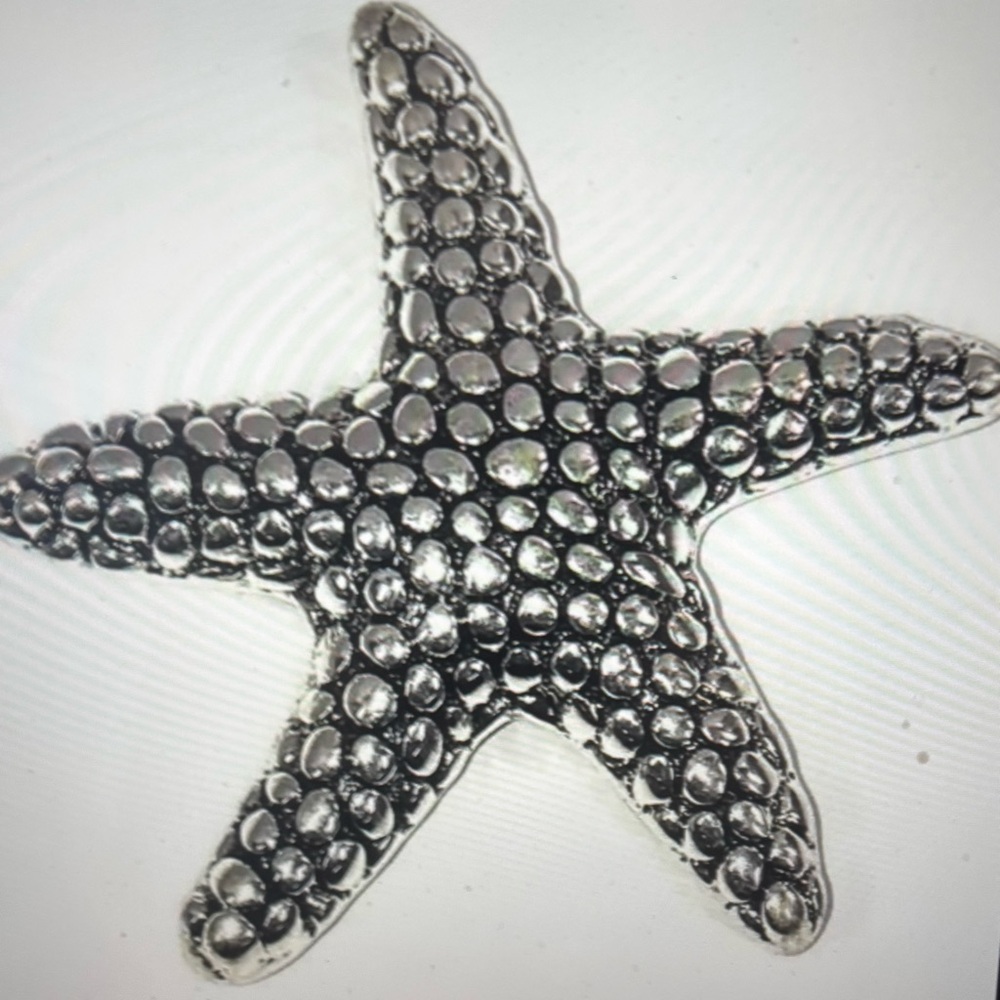 Silver Starfish Magnetic Brooch